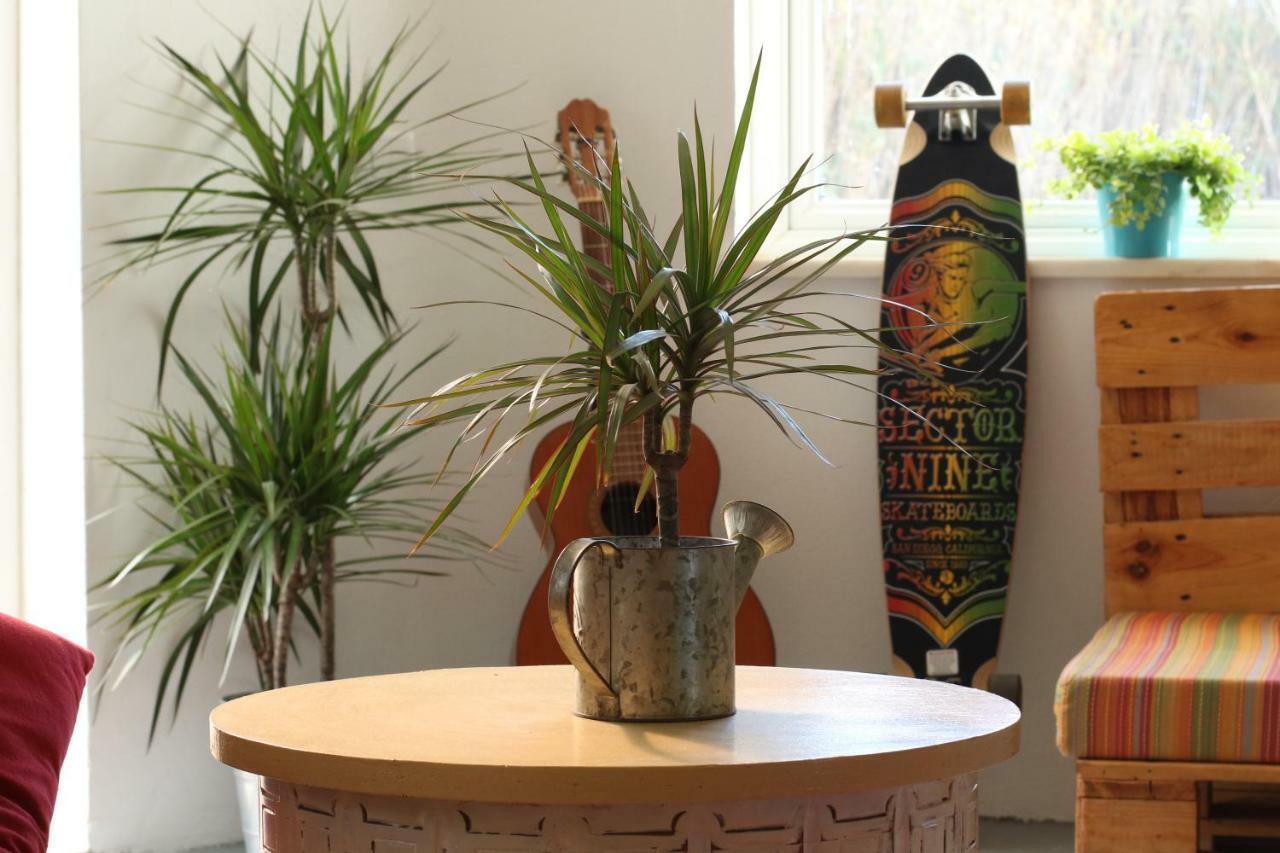Blacksheep Sagres Guesthouse & Surf Exterior photo